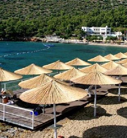 kamış-şemsiye3