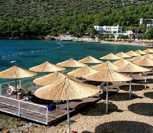 kamış-şemsiye3